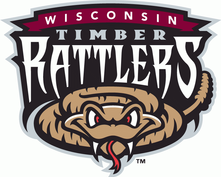 Wisconsin Timber Rattlers iron ons